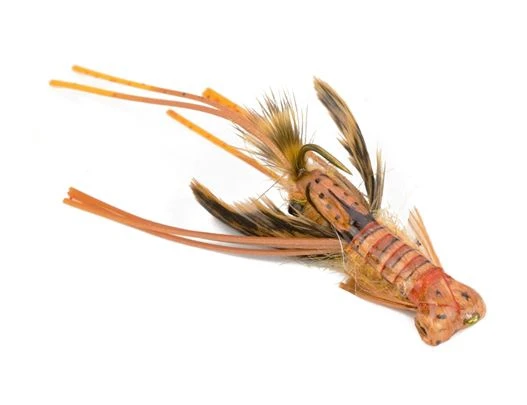 L.L.Bean Hada's Creek Crawler