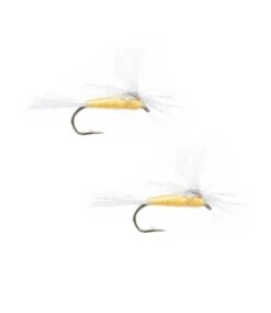 L.L.Bean Sulfur Parachute 2 Pack