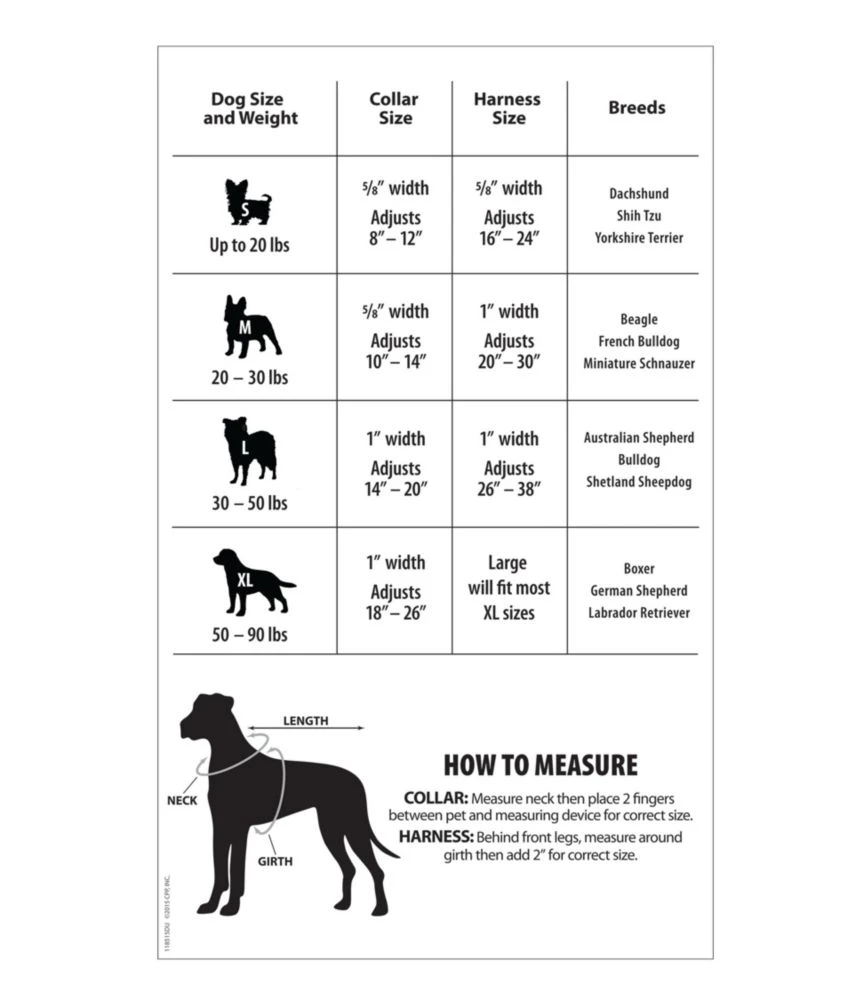 L.L.Bean Personalized Pet Collar - Image 2