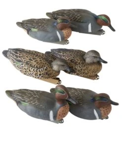 L.L.Bean Avery Pro-Grade Decoys, Green-Winged Teal 6-Pack