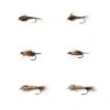 L.L.Bean Umpqua Six-Piece All-Purpose Nymph Fly Selection