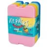 L.L.Bean Yumbox Ice Pack, Set Of 4