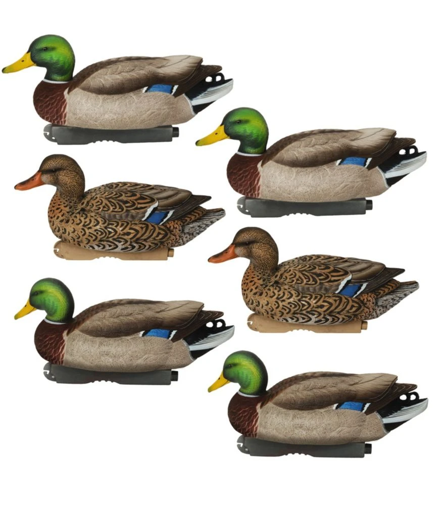 L.L.Bean Avery Pro-Grade Decoys, Mallard 6-Pack