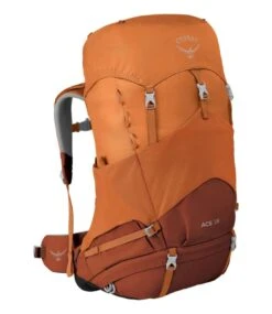 L.L.Bean Kids' Osprey Ace 38 Pack