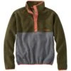 L.L.Bean Adults' Bean's Classic Fleece Pullover