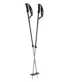L.L.Bean Rossignol BC 100 Backcountry Ski Poles
