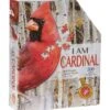 L.L.Bean Poster Size Cardinal Puzzle, 300 Pieces